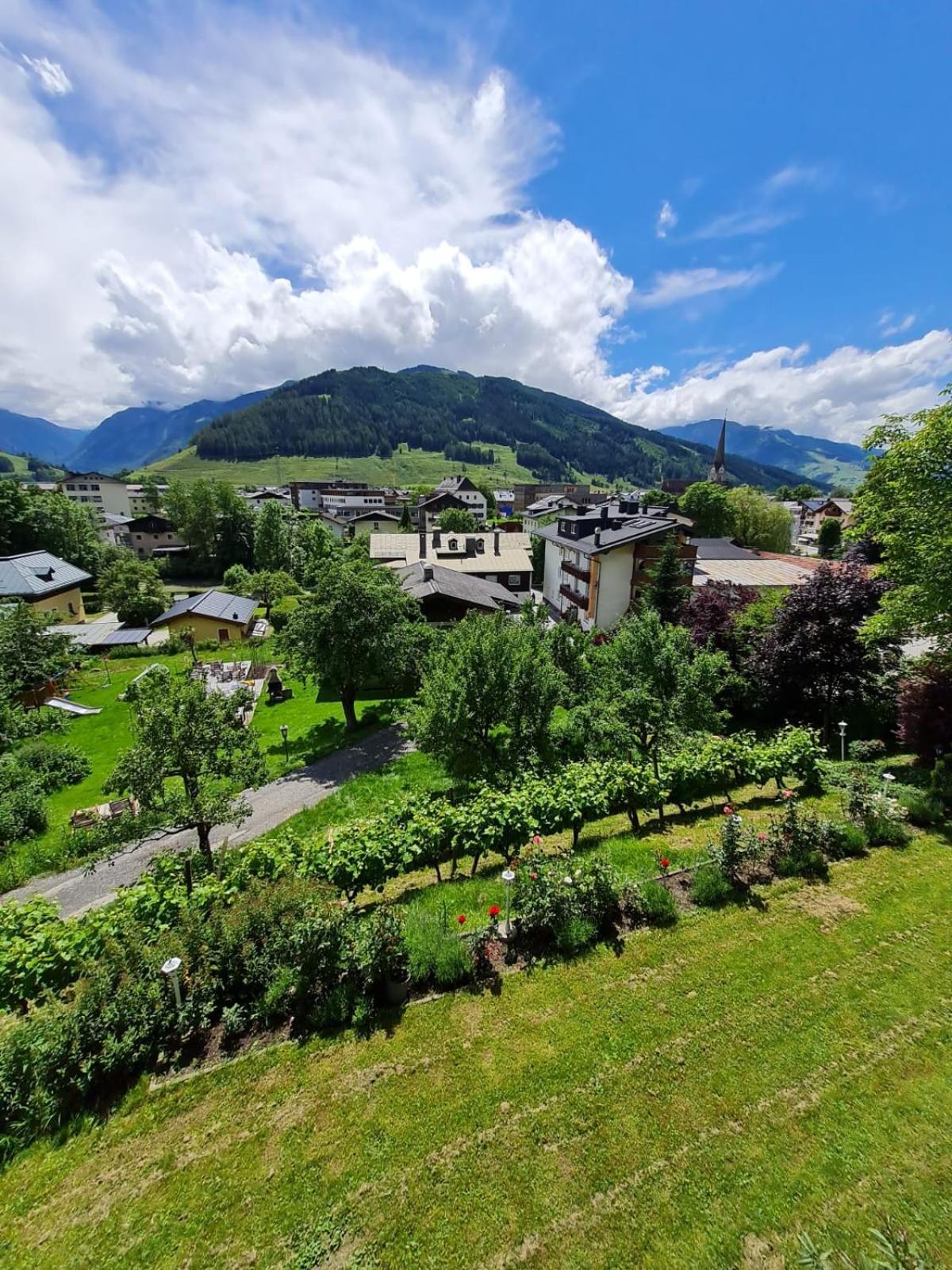 Landhaus Antonia Apartment Bruck an der Grossglocknerstrasse Bagian luar foto